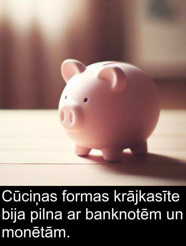 krājkasīte: Cūciņas formas krājkasīte bija pilna ar banknotēm un monētām.