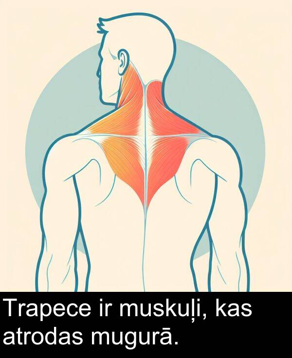 atrodas: Trapece ir muskuļi, kas atrodas mugurā.