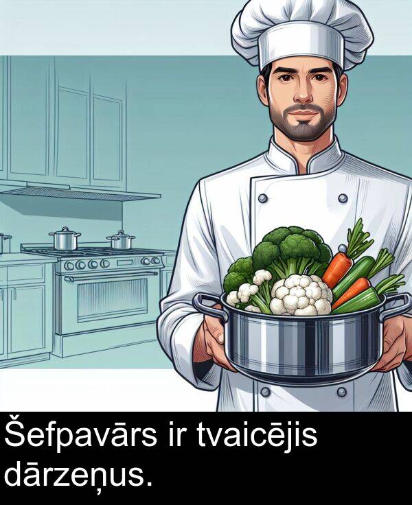 dārzeņus: Šefpavārs ir tvaicējis dārzeņus.