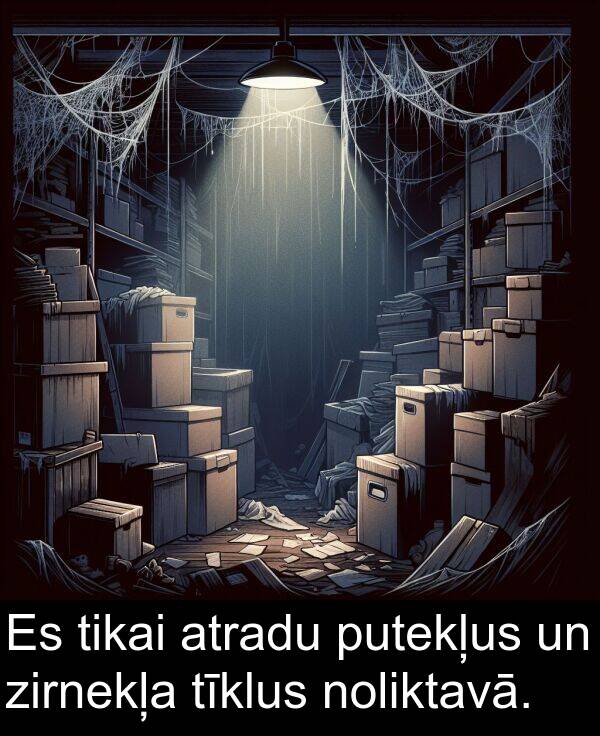 zirnekļa: Es tikai atradu putekļus un zirnekļa tīklus noliktavā.