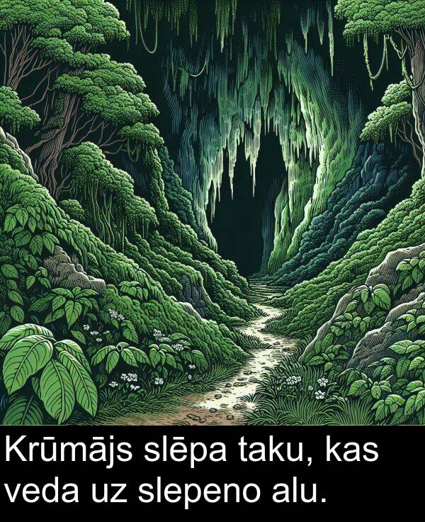 slēpa: Krūmājs slēpa taku, kas veda uz slepeno alu.
