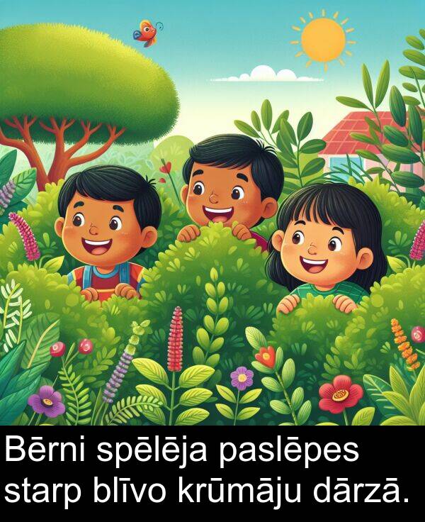 krūmāju: Bērni spēlēja paslēpes starp blīvo krūmāju dārzā.