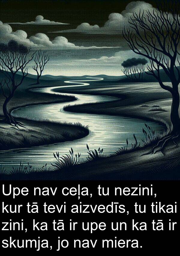 kur: Upe nav ceļa, tu nezini, kur tā tevi aizvedīs, tu tikai zini, ka tā ir upe un ka tā ir skumja, jo nav miera.