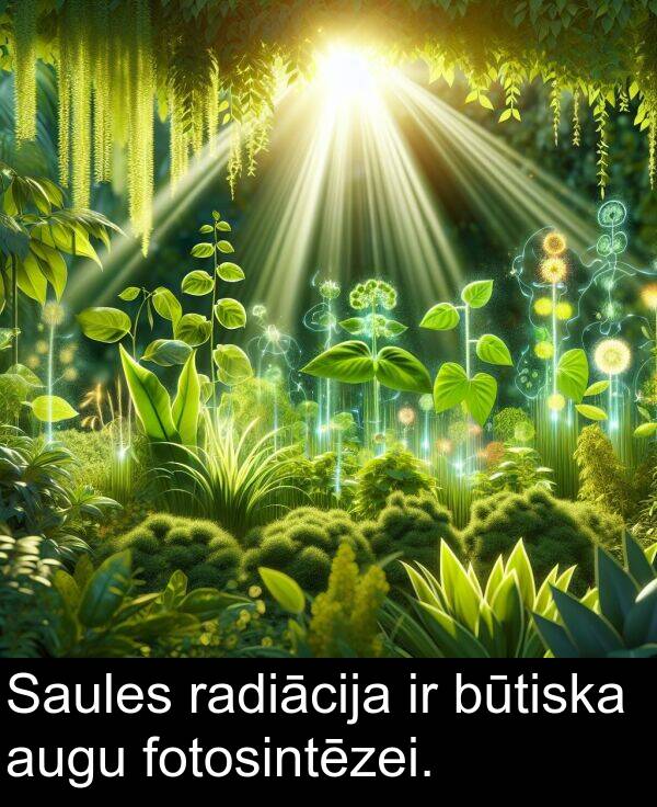 radiācija: Saules radiācija ir būtiska augu fotosintēzei.