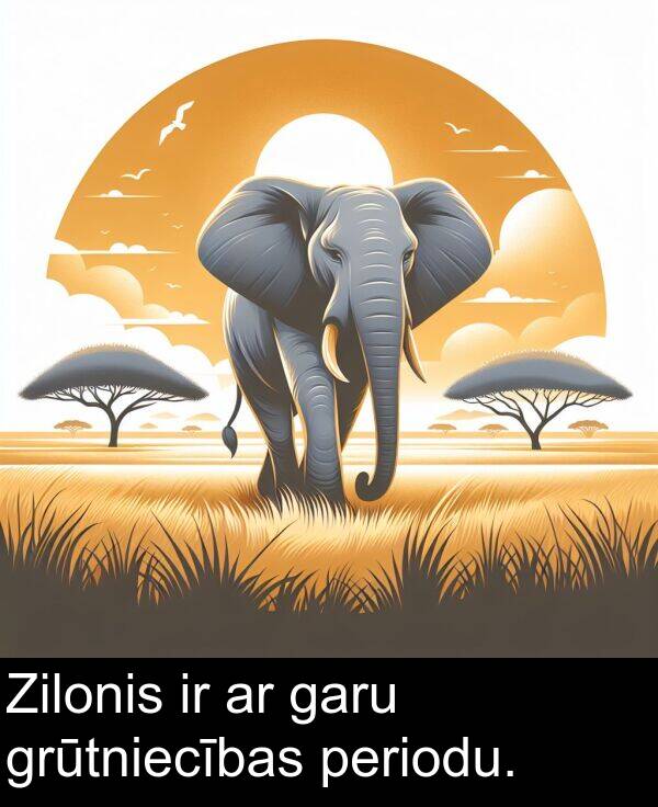 grūtniecības: Zilonis ir ar garu grūtniecības periodu.