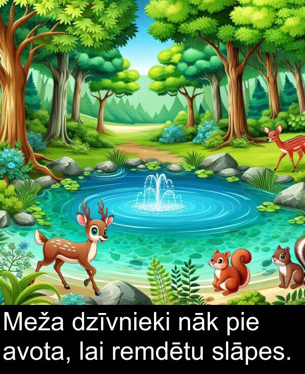 nāk: Meža dzīvnieki nāk pie avota, lai remdētu slāpes.