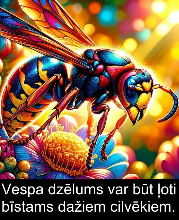var: Vespa dzēlums var būt ļoti bīstams dažiem cilvēkiem.