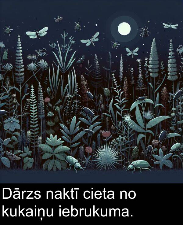 naktī: Dārzs naktī cieta no kukaiņu iebrukuma.