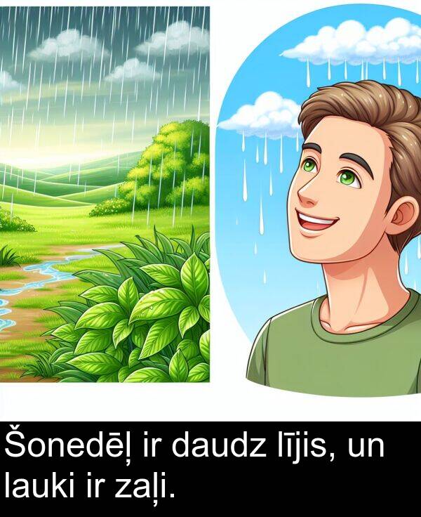 daudz: Šonedēļ ir daudz lījis, un lauki ir zaļi.