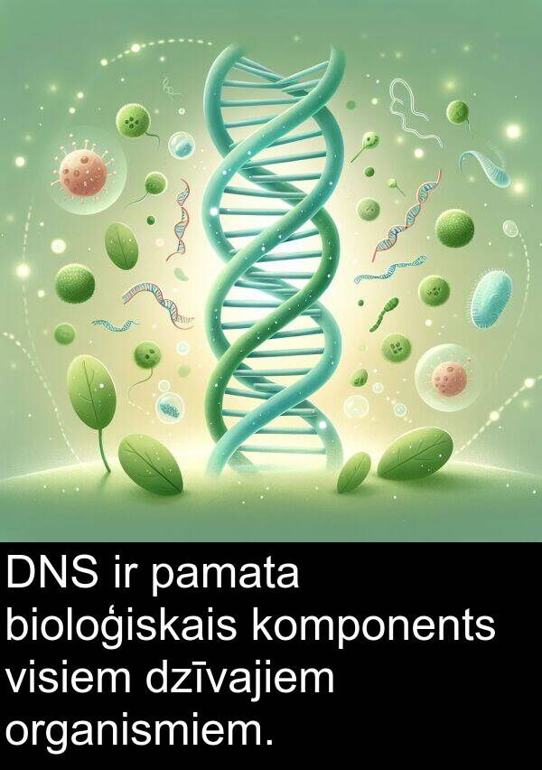 komponents: DNS ir pamata bioloģiskais komponents visiem dzīvajiem organismiem.