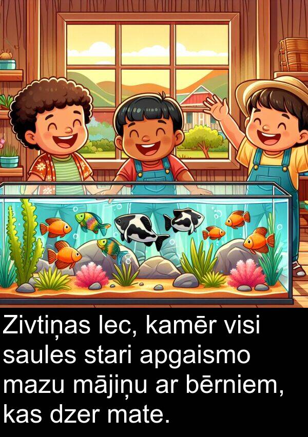mājiņu: Zivtiņas lec, kamēr visi saules stari apgaismo mazu mājiņu ar bērniem, kas dzer mate.