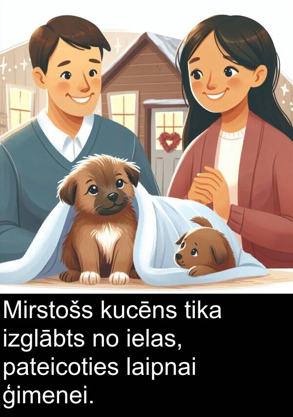 laipnai: Mirstošs kucēns tika izglābts no ielas, pateicoties laipnai ģimenei.