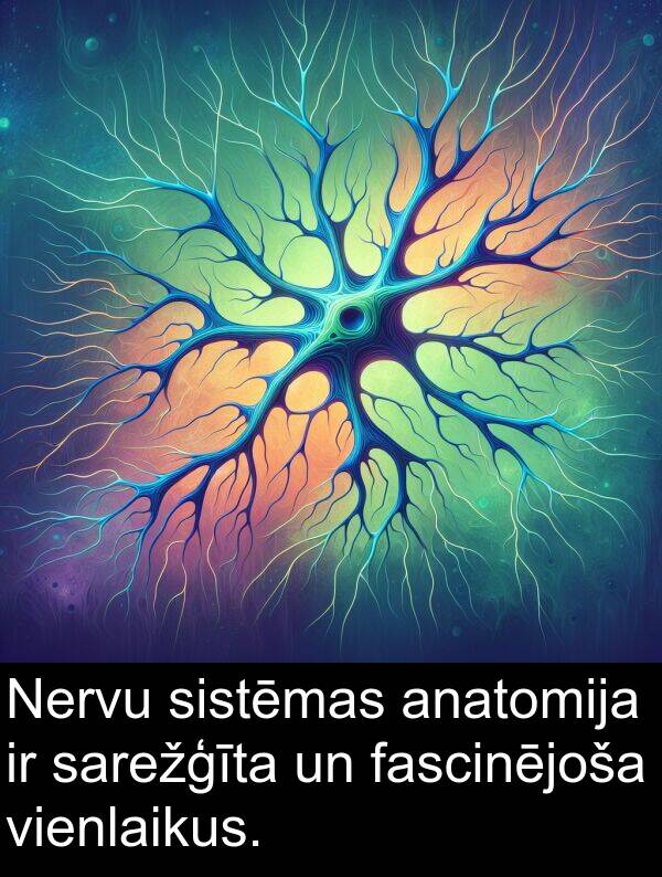 fascinējoša: Nervu sistēmas anatomija ir sarežģīta un fascinējoša vienlaikus.