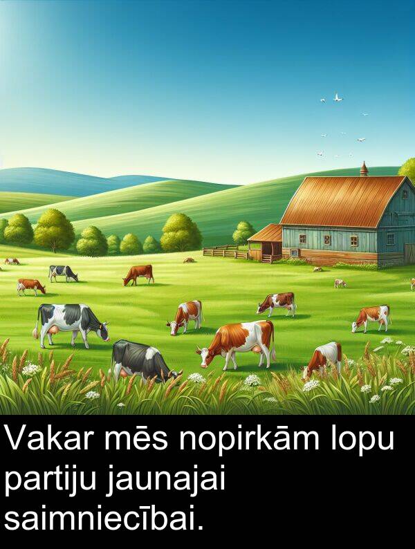 saimniecībai: Vakar mēs nopirkām lopu partiju jaunajai saimniecībai.
