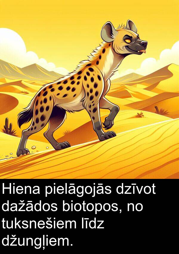 līdz: Hiena pielāgojās dzīvot dažādos biotopos, no tuksnešiem līdz džungļiem.