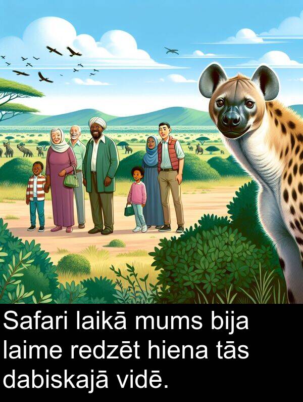 hiena: Safari laikā mums bija laime redzēt hiena tās dabiskajā vidē.