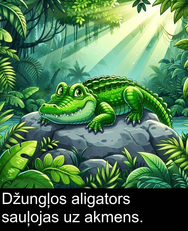 akmens: Džungļos aligators sauļojas uz akmens.