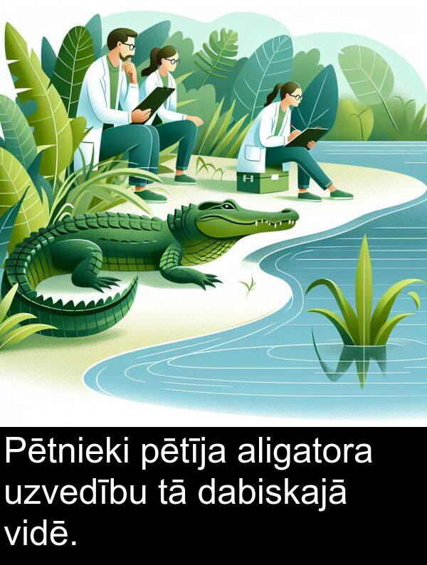 aligatora: Pētnieki pētīja aligatora uzvedību tā dabiskajā vidē.