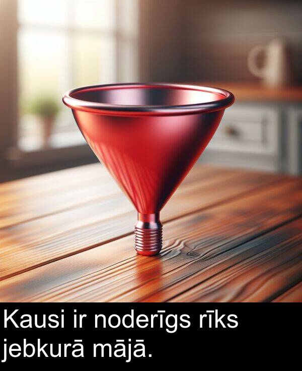 mājā: Kausi ir noderīgs rīks jebkurā mājā.