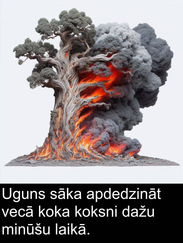 koka: Uguns sāka apdedzināt vecā koka koksni dažu minūšu laikā.