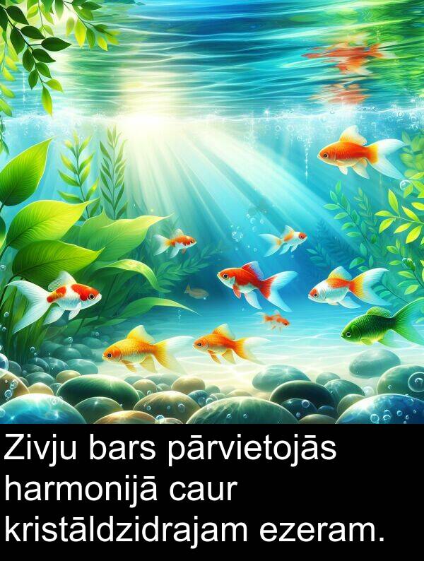 caur: Zivju bars pārvietojās harmonijā caur kristāldzidrajam ezeram.