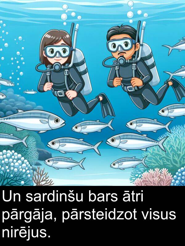 nirējus: Un sardinšu bars ātri pārgāja, pārsteidzot visus nirējus.