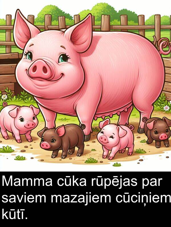 kūtī: Mamma cūka rūpējas par saviem mazajiem cūciņiem kūtī.