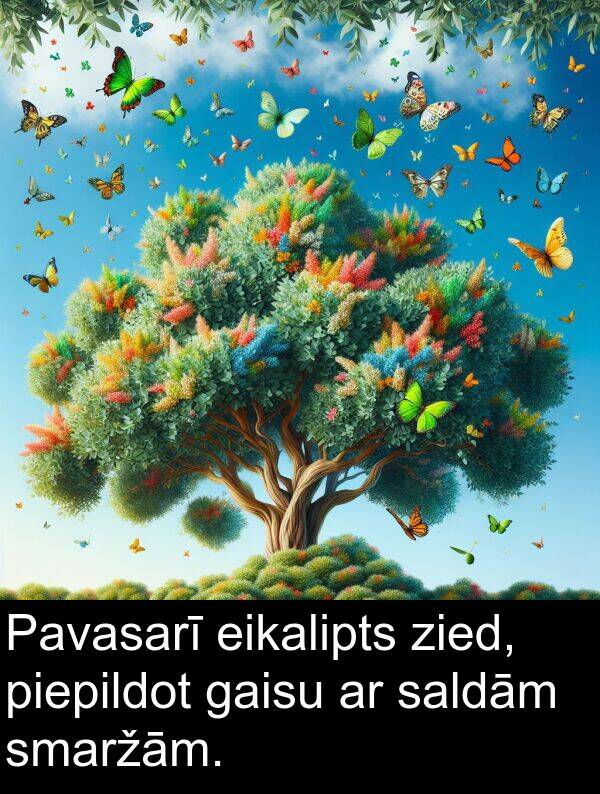 gaisu: Pavasarī eikalipts zied, piepildot gaisu ar saldām smaržām.