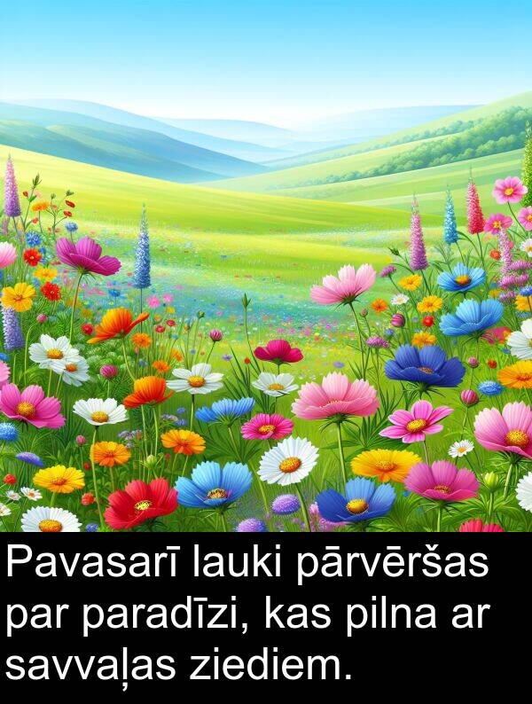 pārvēršas: Pavasarī lauki pārvēršas par paradīzi, kas pilna ar savvaļas ziediem.