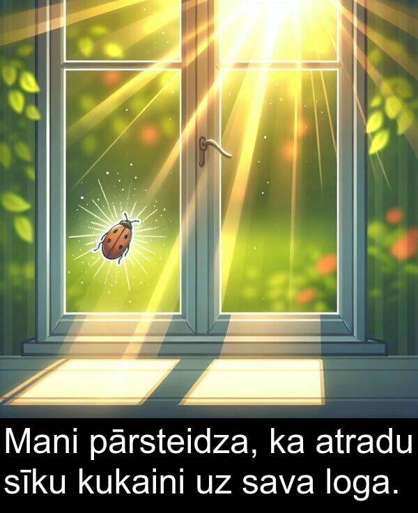 kukaini: Mani pārsteidza, ka atradu sīku kukaini uz sava loga.