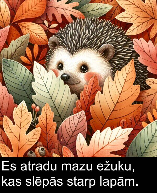lapām: Es atradu mazu ežuku, kas slēpās starp lapām.