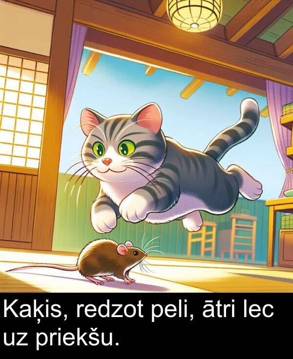 lec: Kaķis, redzot peli, ātri lec uz priekšu.