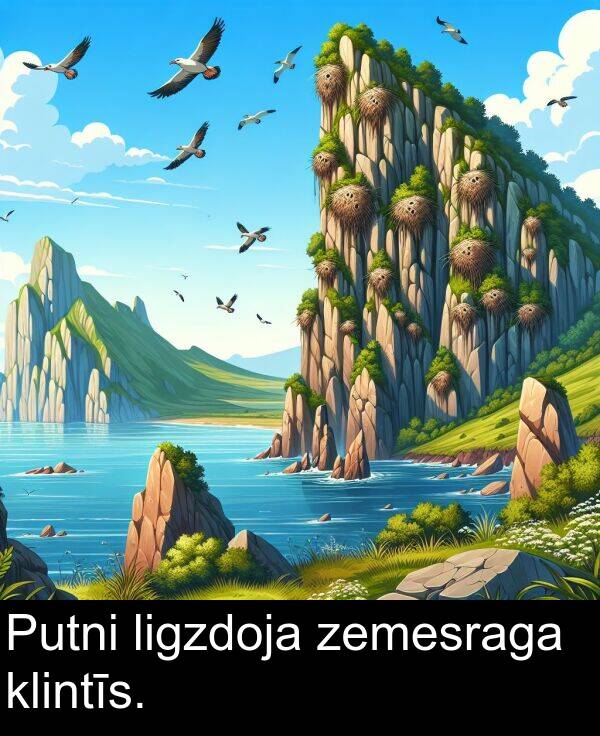 zemesraga: Putni ligzdoja zemesraga klintīs.