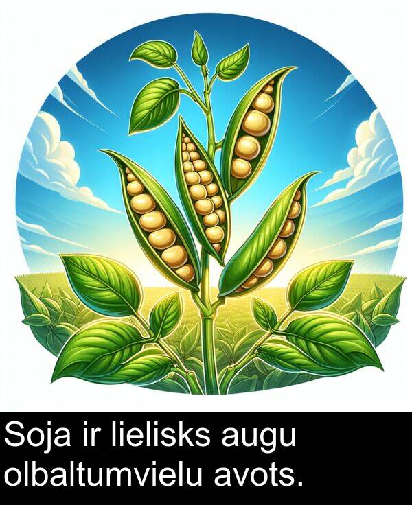 olbaltumvielu: Soja ir lielisks augu olbaltumvielu avots.