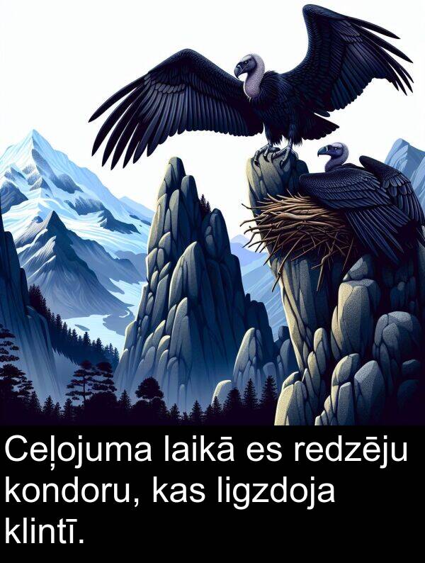ligzdoja: Ceļojuma laikā es redzēju kondoru, kas ligzdoja klintī.