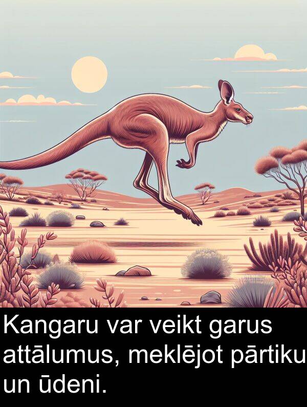 ūdeni: Kangaru var veikt garus attālumus, meklējot pārtiku un ūdeni.