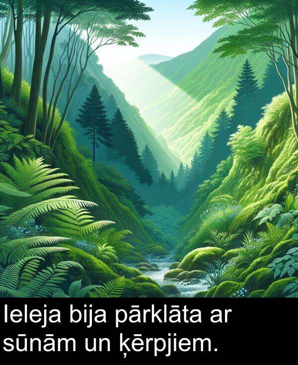 ķērpjiem: Ieleja bija pārklāta ar sūnām un ķērpjiem.