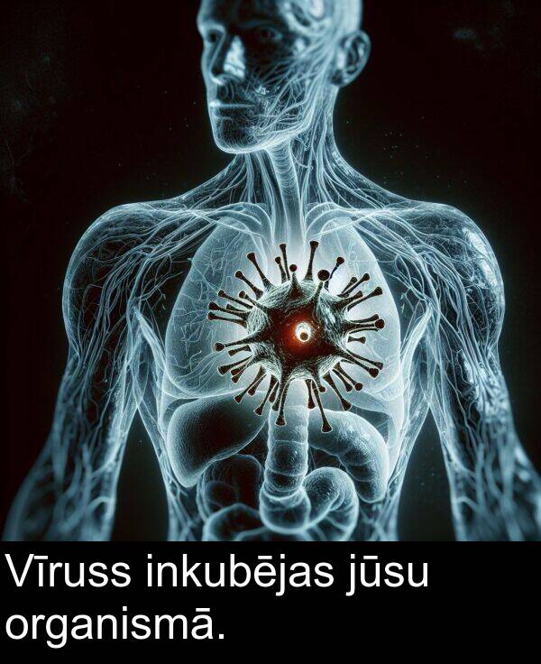 organismā: Vīruss inkubējas jūsu organismā.