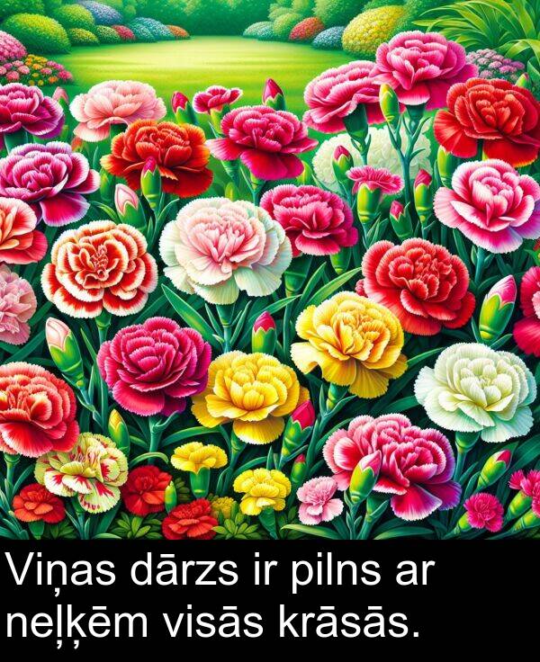 krāsās: Viņas dārzs ir pilns ar neļķēm visās krāsās.