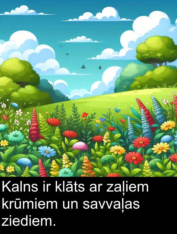 krūmiem: Kalns ir klāts ar zaļiem krūmiem un savvaļas ziediem.