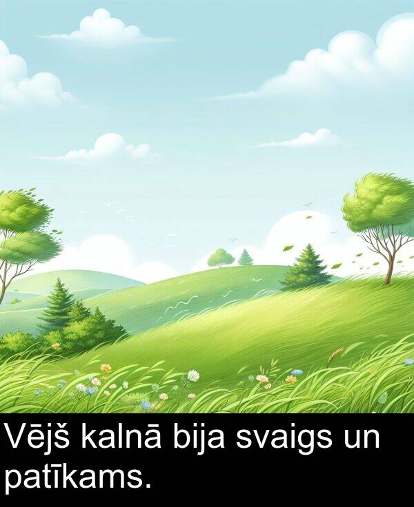 patīkams: Vējš kalnā bija svaigs un patīkams.