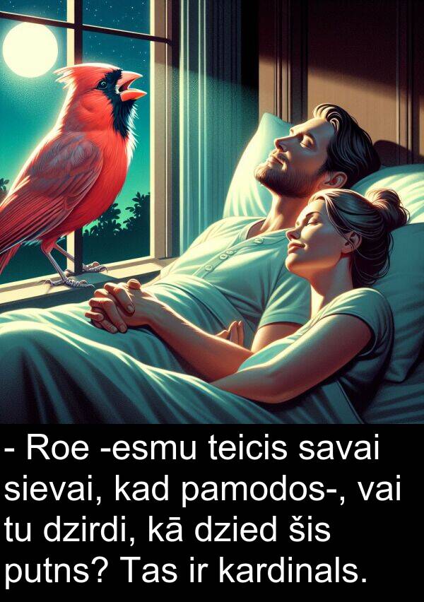 kardinals: - Roe -esmu teicis savai sievai, kad pamodos-, vai tu dzirdi, kā dzied šis putns? Tas ir kardinals.