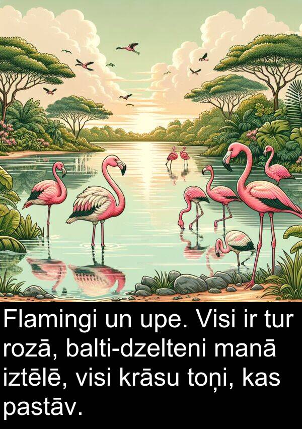 krāsu: Flamingi un upe. Visi ir tur rozā, balti-dzelteni manā iztēlē, visi krāsu toņi, kas pastāv.