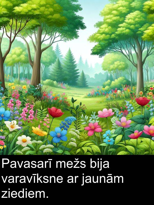 ziediem: Pavasarī mežs bija varavīksne ar jaunām ziediem.
