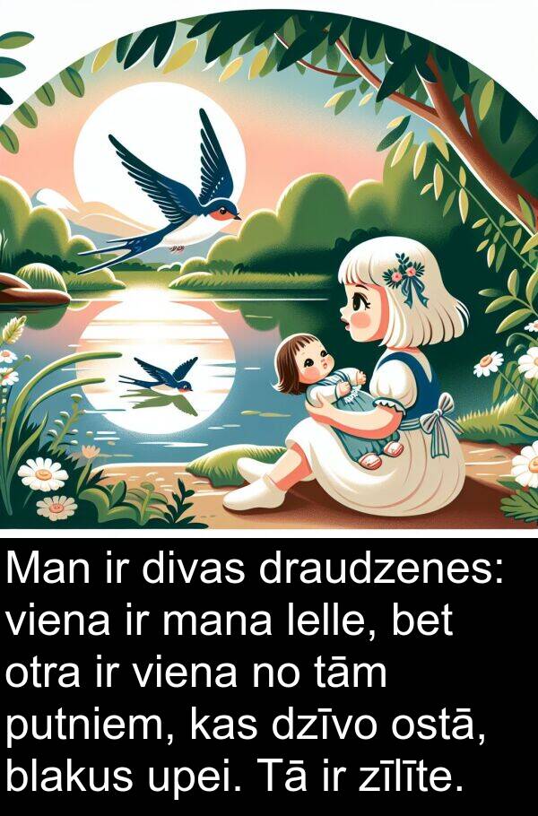 zīlīte: Man ir divas draudzenes: viena ir mana lelle, bet otra ir viena no tām putniem, kas dzīvo ostā, blakus upei. Tā ir zīlīte.