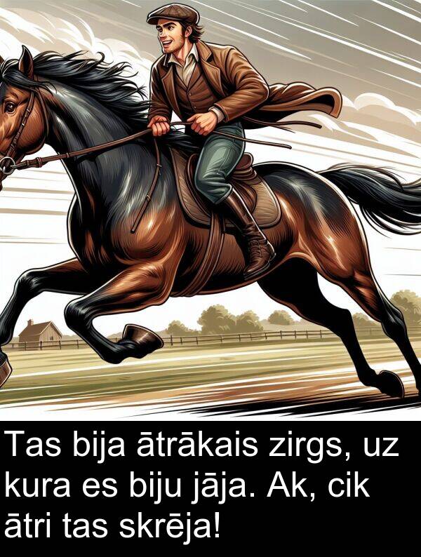 kura: Tas bija ātrākais zirgs, uz kura es biju jāja. Ak, cik ātri tas skrēja!