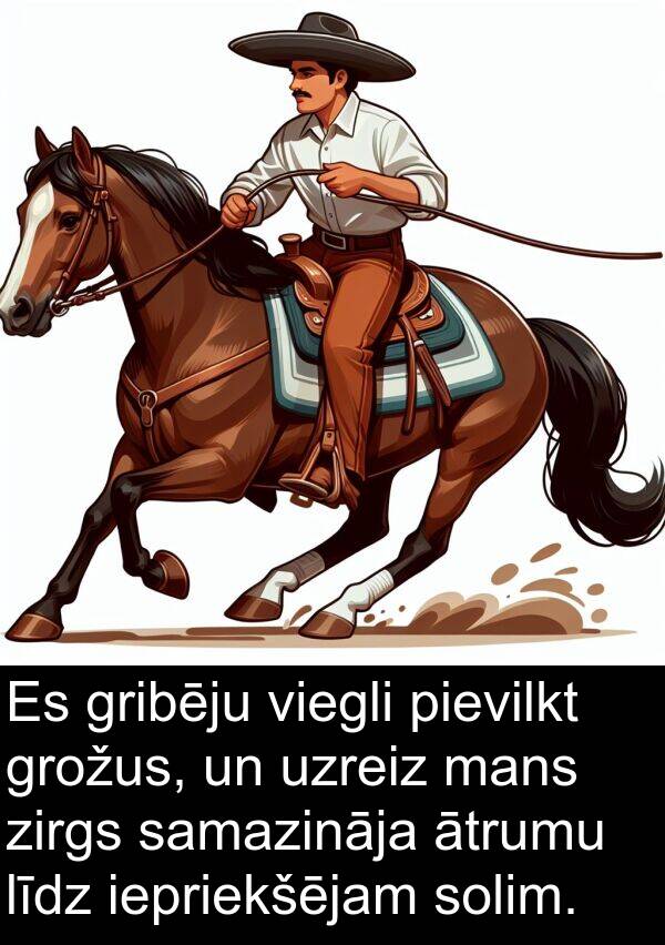 zirgs: Es gribēju viegli pievilkt grožus, un uzreiz mans zirgs samazināja ātrumu līdz iepriekšējam solim.