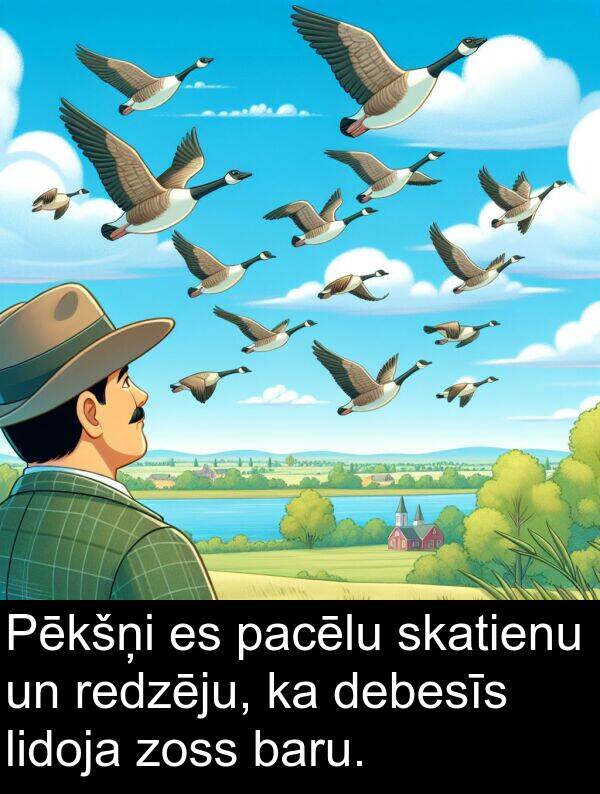 pacēlu: Pēkšņi es pacēlu skatienu un redzēju, ka debesīs lidoja zoss baru.