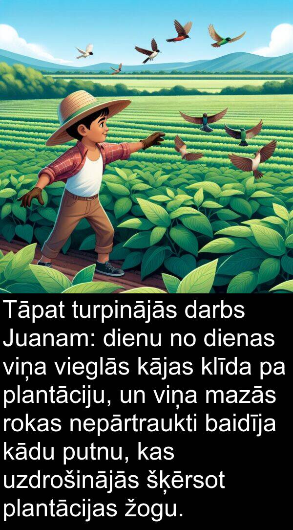 kādu: Tāpat turpinājās darbs Juanam: dienu no dienas viņa vieglās kājas klīda pa plantāciju, un viņa mazās rokas nepārtraukti baidīja kādu putnu, kas uzdrošinājās šķērsot plantācijas žogu.
