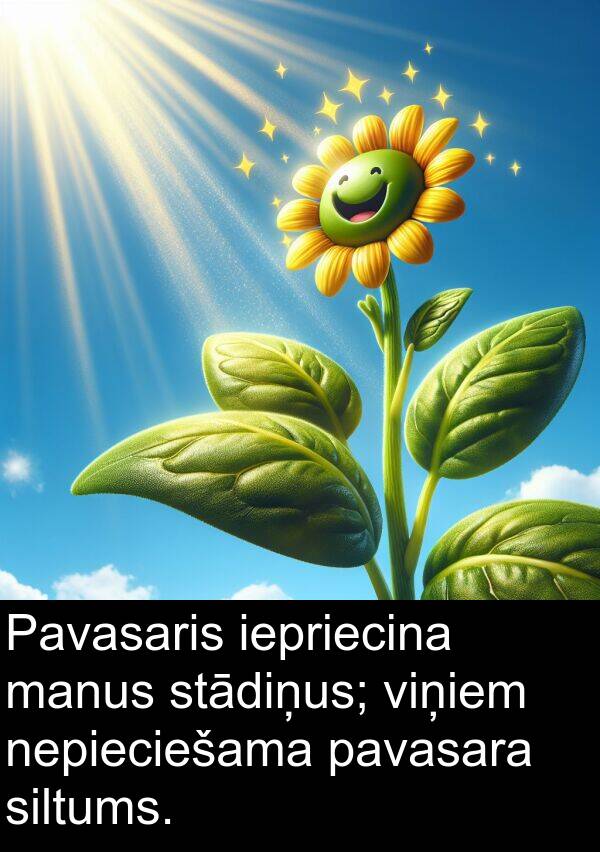 pavasara: Pavasaris iepriecina manus stādiņus; viņiem nepieciešama pavasara siltums.